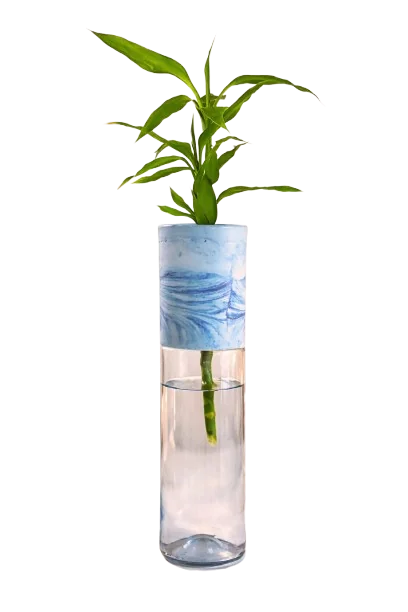 Vaso alto de vidro com faixa marmorizada azul e branca e muda de bambu